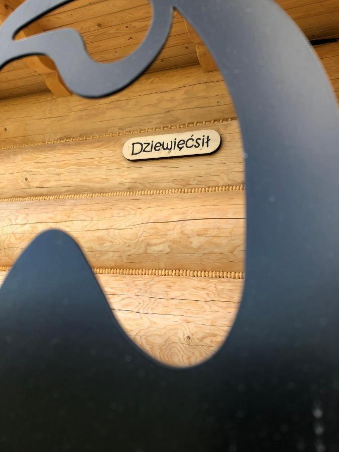 Osada Witow - Dom „Dziewiecsil” Kültér fotó